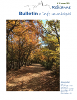 Bulletin municipal novembre 2020